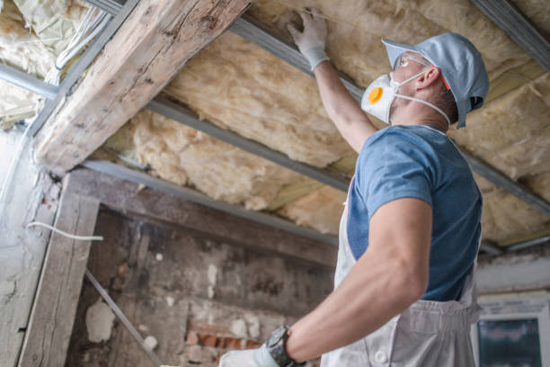 Attic Insulation Near Me in Greenville, MI